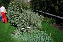 Orto Botanico_013
